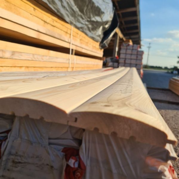 Poluoblica Hasllacher